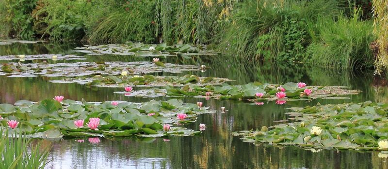 Giverny Gardens Half-Day private tour